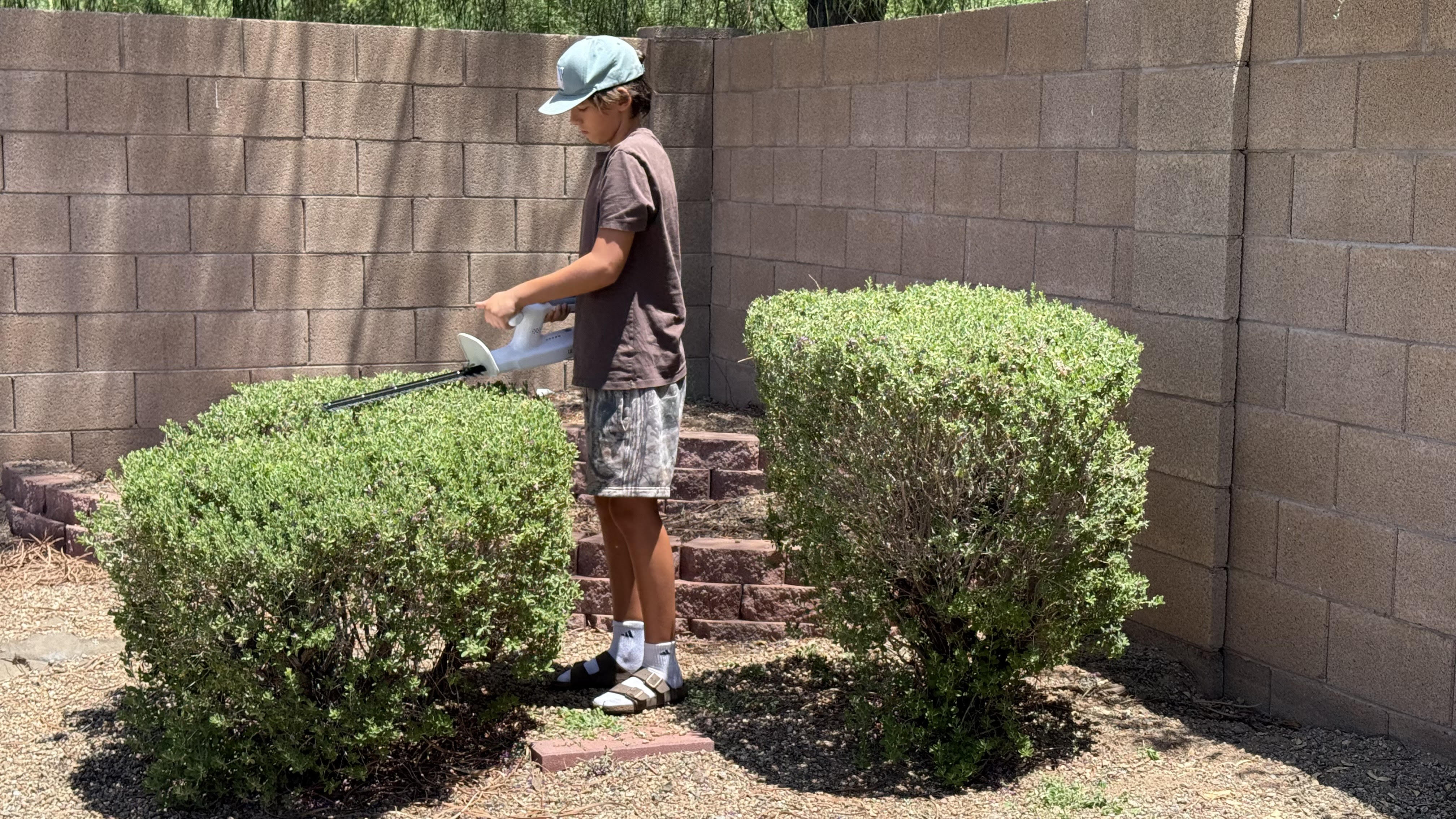 Bush trimming